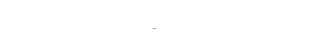 www.ivs-gerhold.de